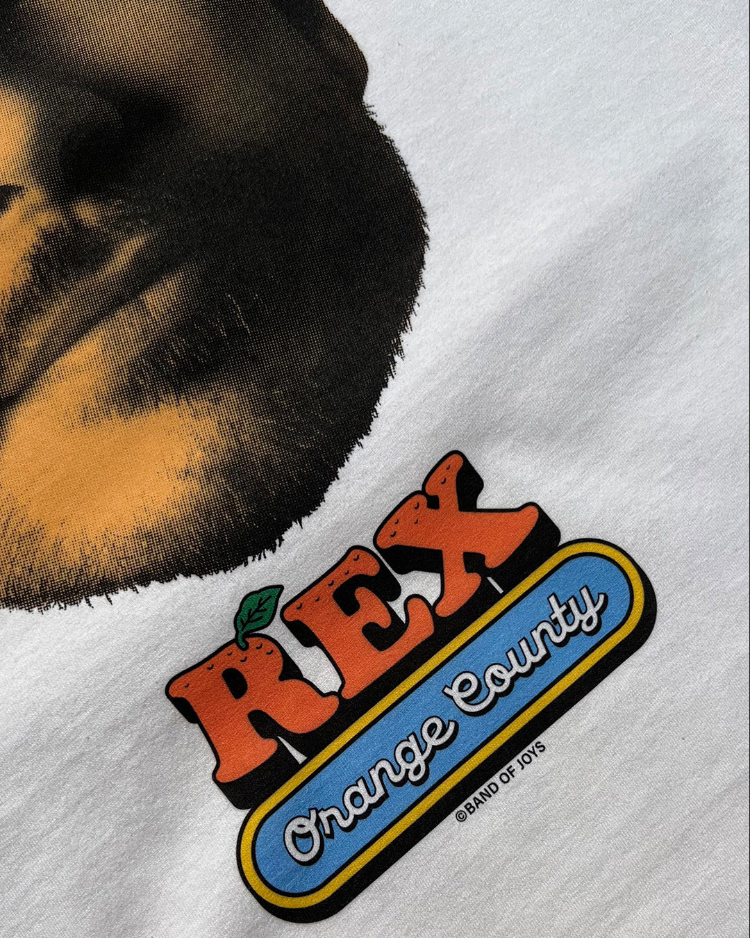 Rex Orange County T-Shirt